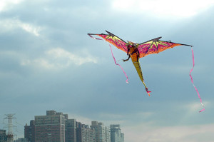 550px-Fly-a-Kite-Step-7