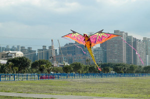 550px-Fly-a-Kite-Step-8