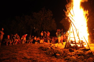foc