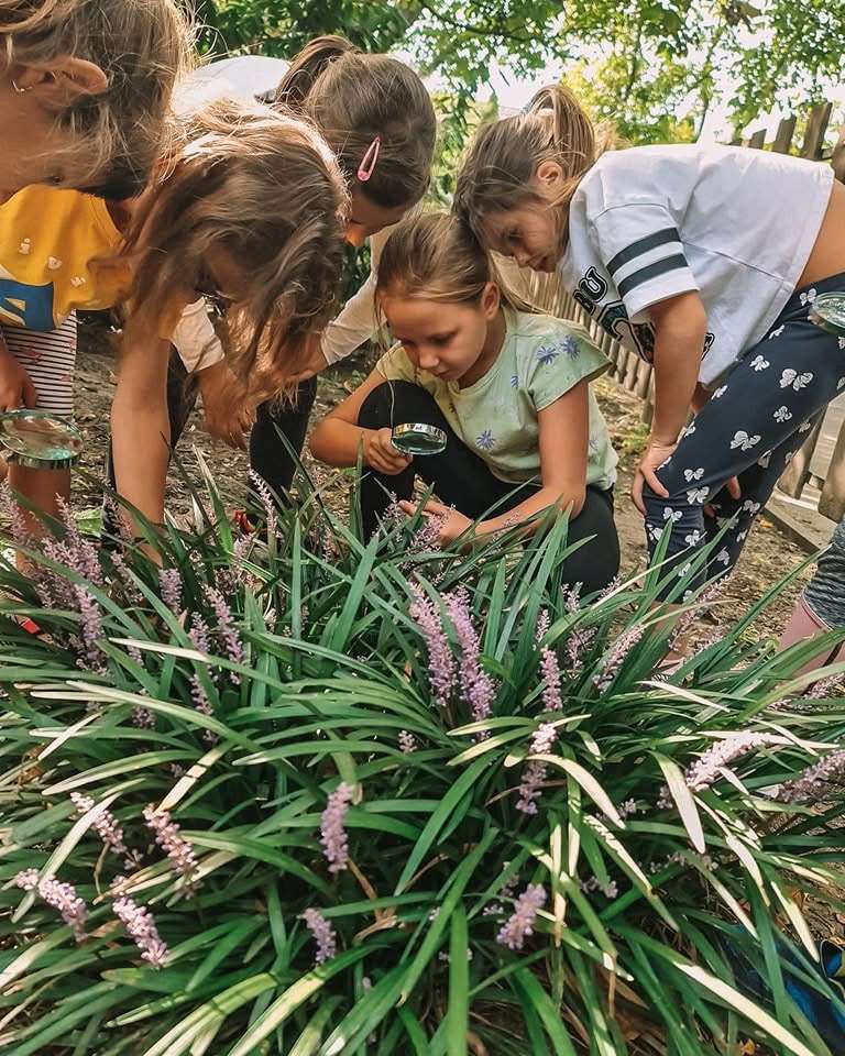 Copii explorând plantele cu lupa la afterschool-ul Activitate Afară